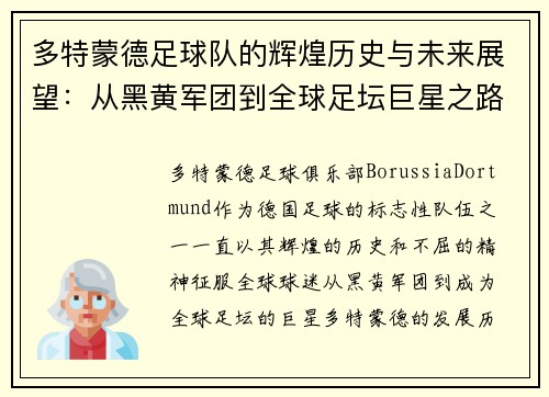 多特蒙德足球队的辉煌历史与未来展望:从黑黄军团到全球足坛巨星之路