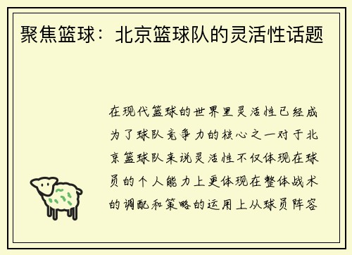 聚焦篮球:北京篮球队的灵活性话题
