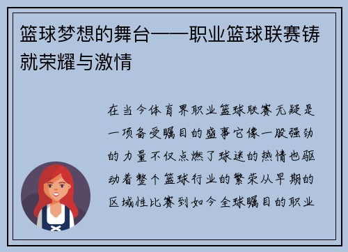 篮球梦想的舞台——职业篮球联赛铸就荣耀与激情