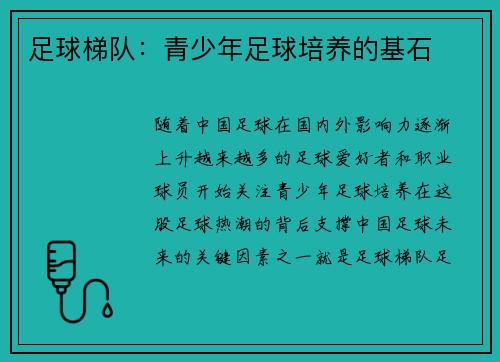 足球梯队：青少年足球培养的基石